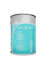 Kyk Megaizo S450 Tek Bileşenli Sıvı Şeffaf Camsı Kaplama 5kg.
