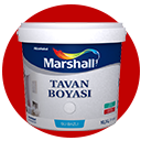 Tavan Boyaları