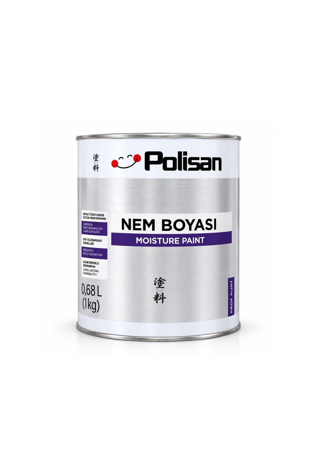 Polisan Nem Boyası 1 kg.