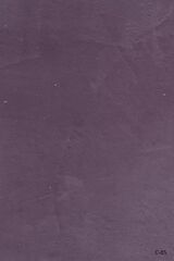 Nippon Calcino Mermer Dokulu Kaplama 2,5 Lt. C-65