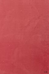 Nippon Calcino Mermer Dokulu Kaplama 2,5 Lt. C-80