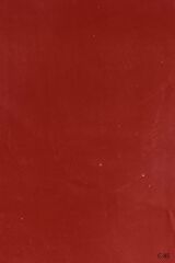 Nippon Calcino Mermer Dokulu Kaplama 2,5 Lt. C-85